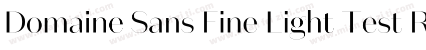 Domaine Sans Fine Light Test Regula字体转换